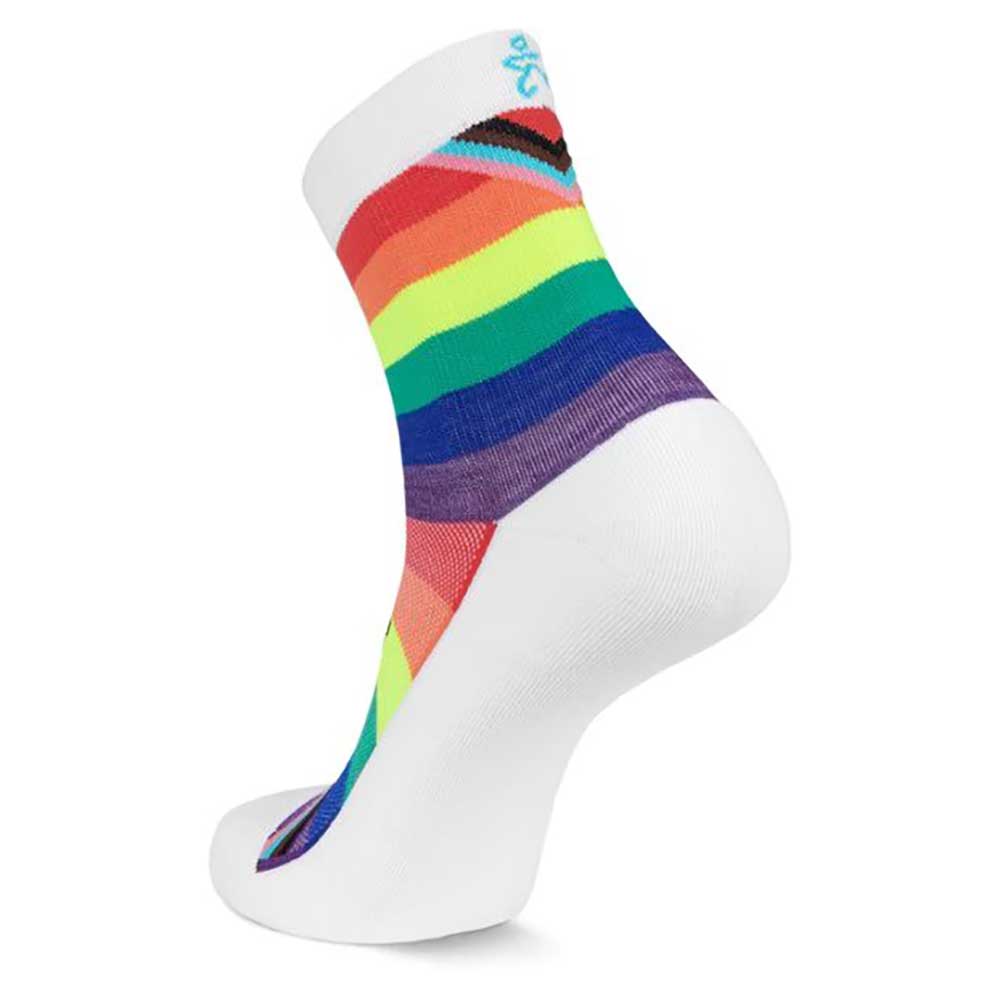 Hidden Comfort Pride Mini Crew - Rainbow