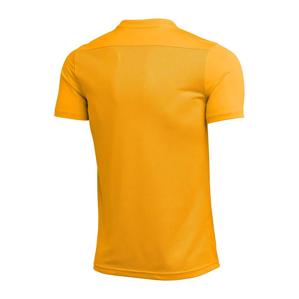Men's Nike Dri-FIT Park VII-Gold