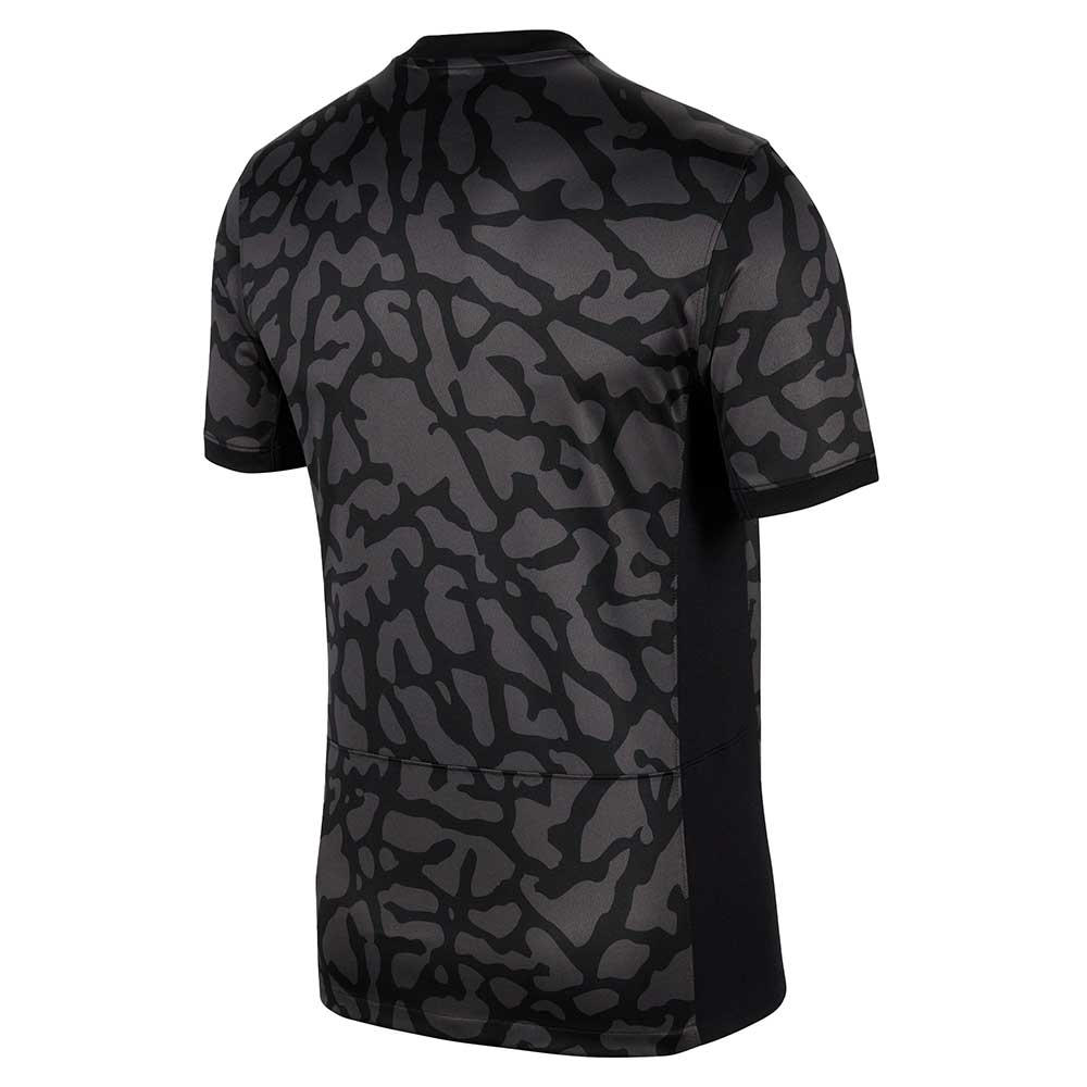 Men's Paris Saint-Germain 2023/24 Stadium Third Jersey - Anthracite/Black/Stone
