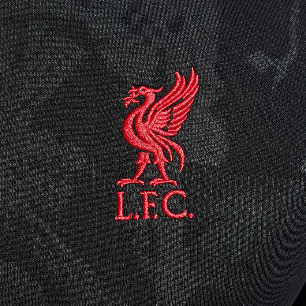 Men's Liverpool FC Academy Pro Third Nike Dri-FIT Soccer Long-Sleeve Top - Black/Yellow/Global Red