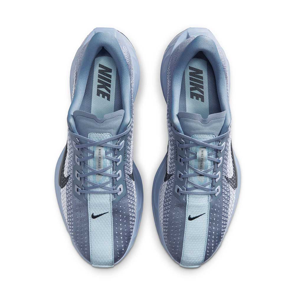 Men's Nike Pegasus Plus Running Shoe - Ashen Slate/Anthracite/White - Regular (D)
