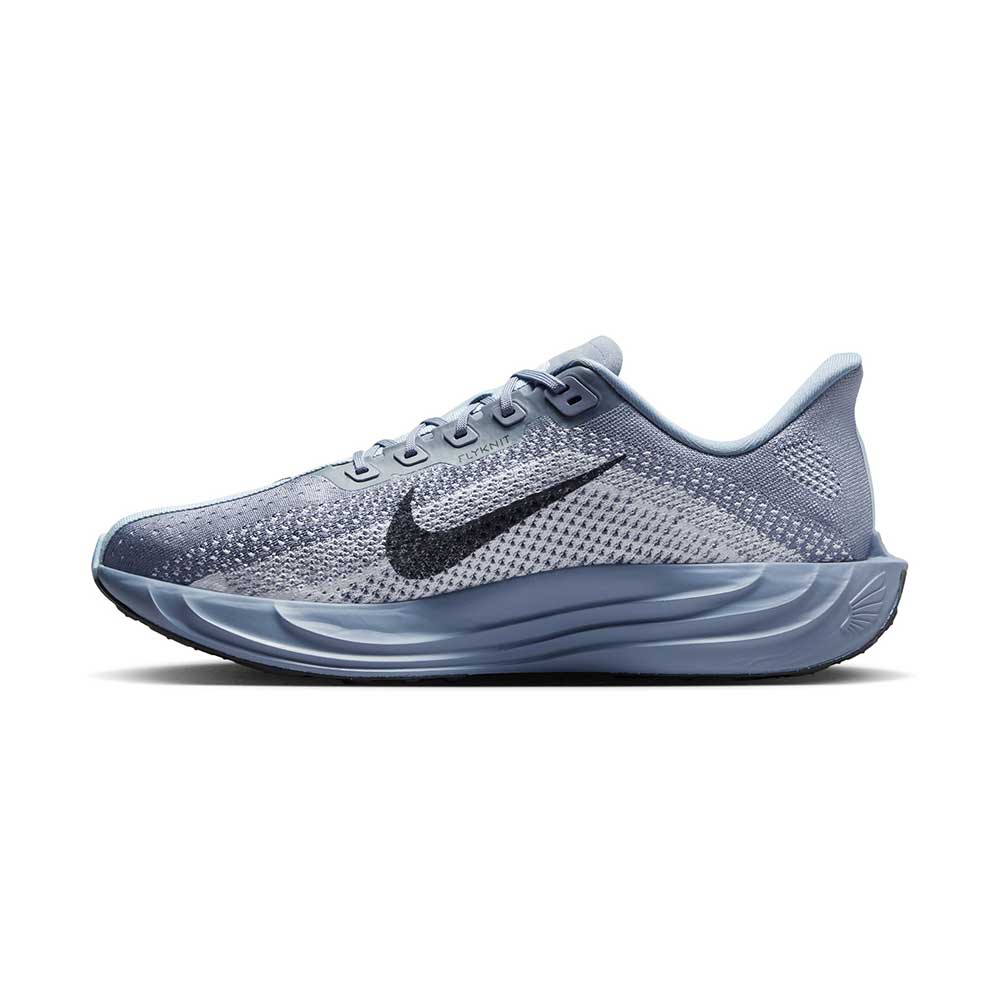 Men's Nike Pegasus Plus Running Shoe - Ashen Slate/Anthracite/White - Regular (D)