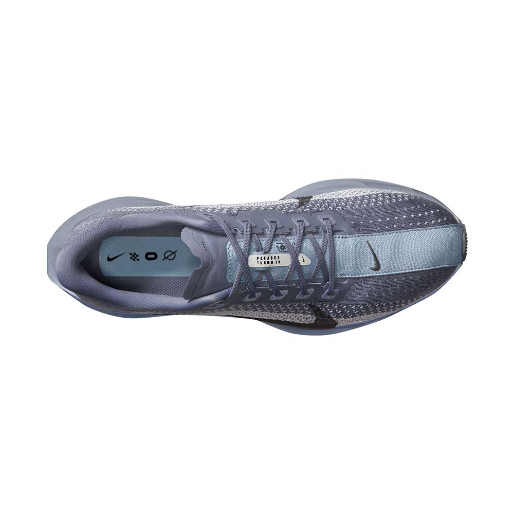 Men's Nike Pegasus Plus Running Shoe - Ashen Slate/Anthracite/White - Regular (D)