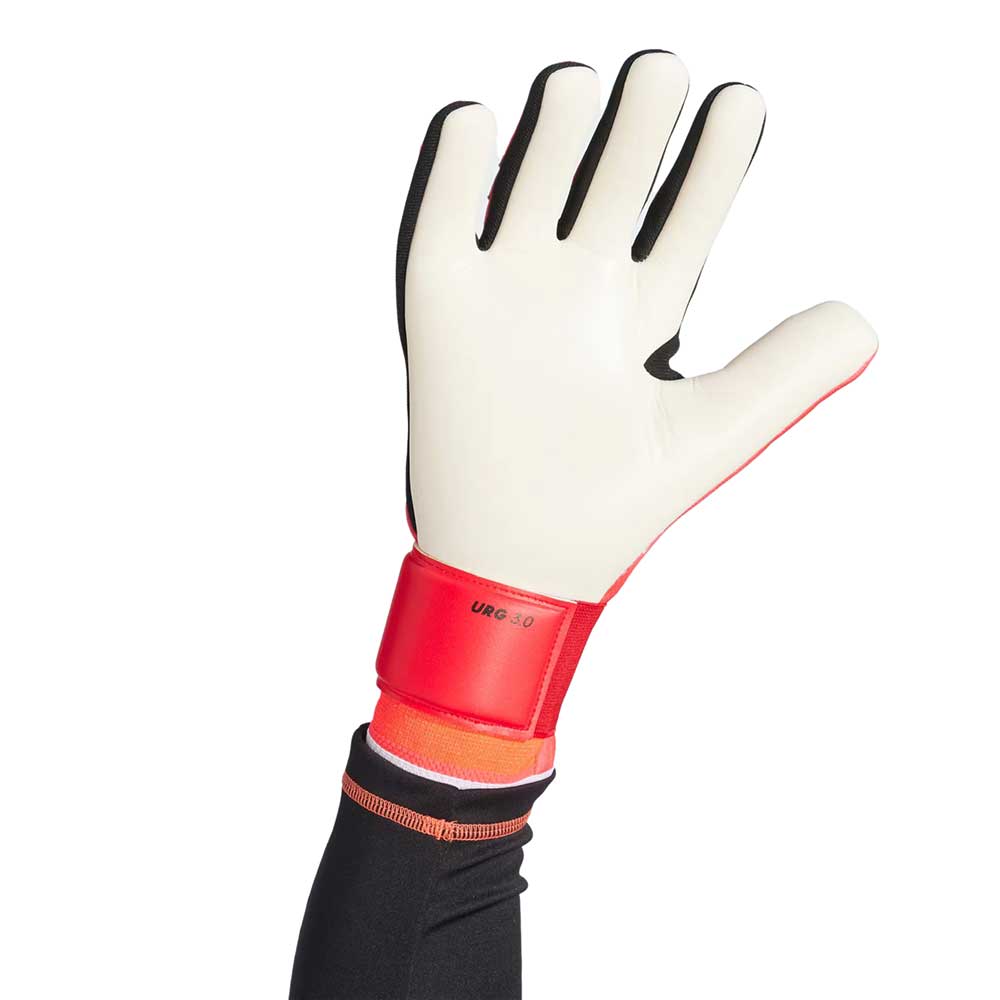 Men's Predator GL LGE Goalkeeper Gloves - Lucid Red/Black/White