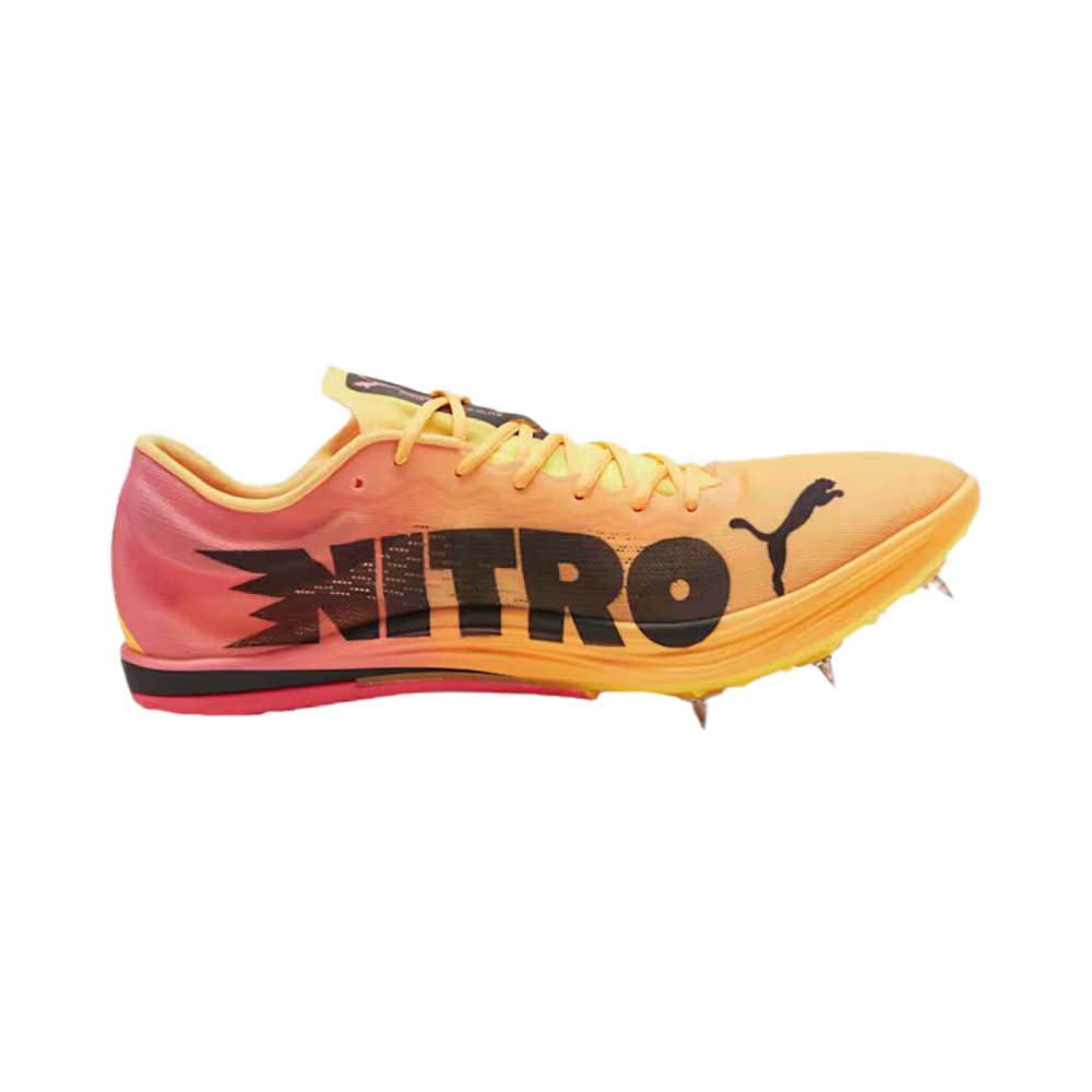 Men's Evospeed Long Distance Nitro Elite Spike Sun Stream