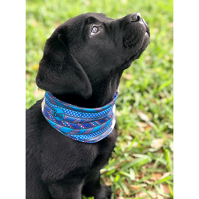 Dog Insect Shield Neckwear - Bone Camo Green