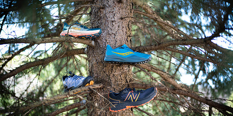 Trail Running Shoes in a Tree