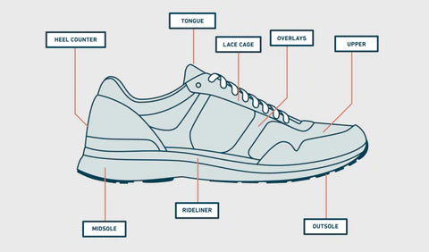 How to Choose the Right Shoe