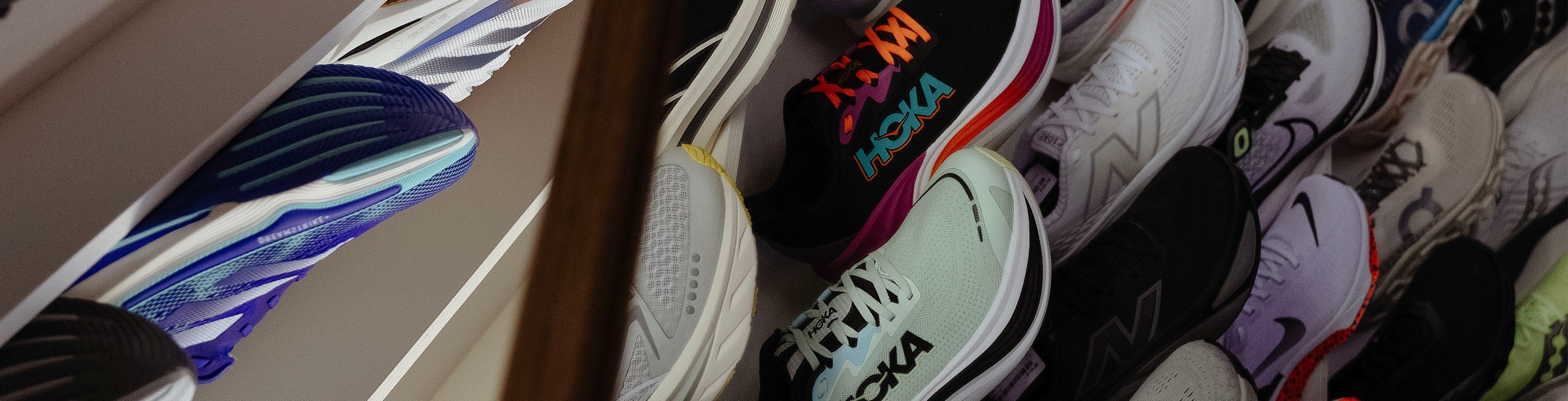 New Shoes â Gazelle Sports