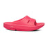 Neon Berry