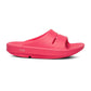 Women's Ooahh Slide - Neon Berry - Regular (B)