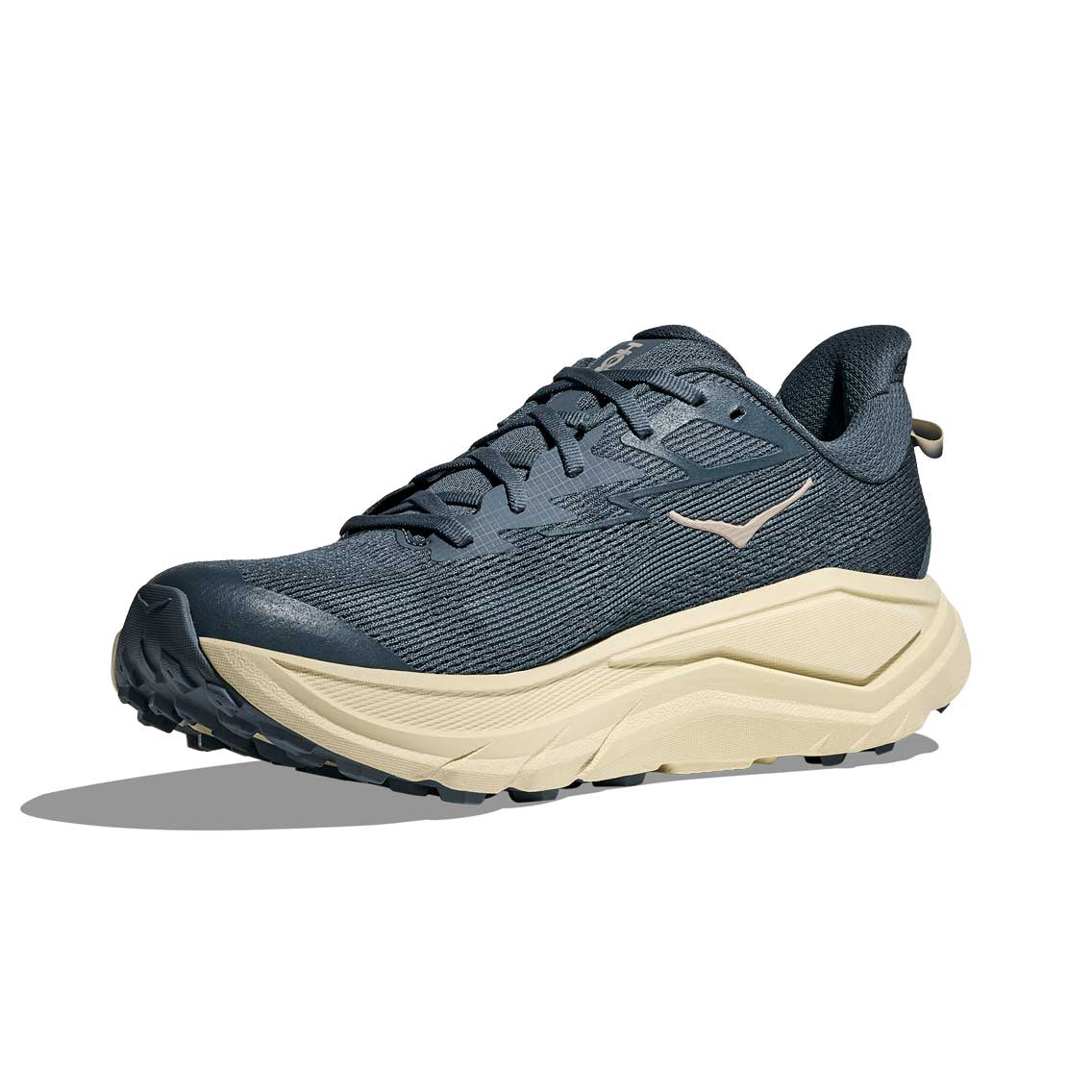 Men's Challenger 8 Running Shoe - Faded Navy/Pampass Grass - Regular (D)