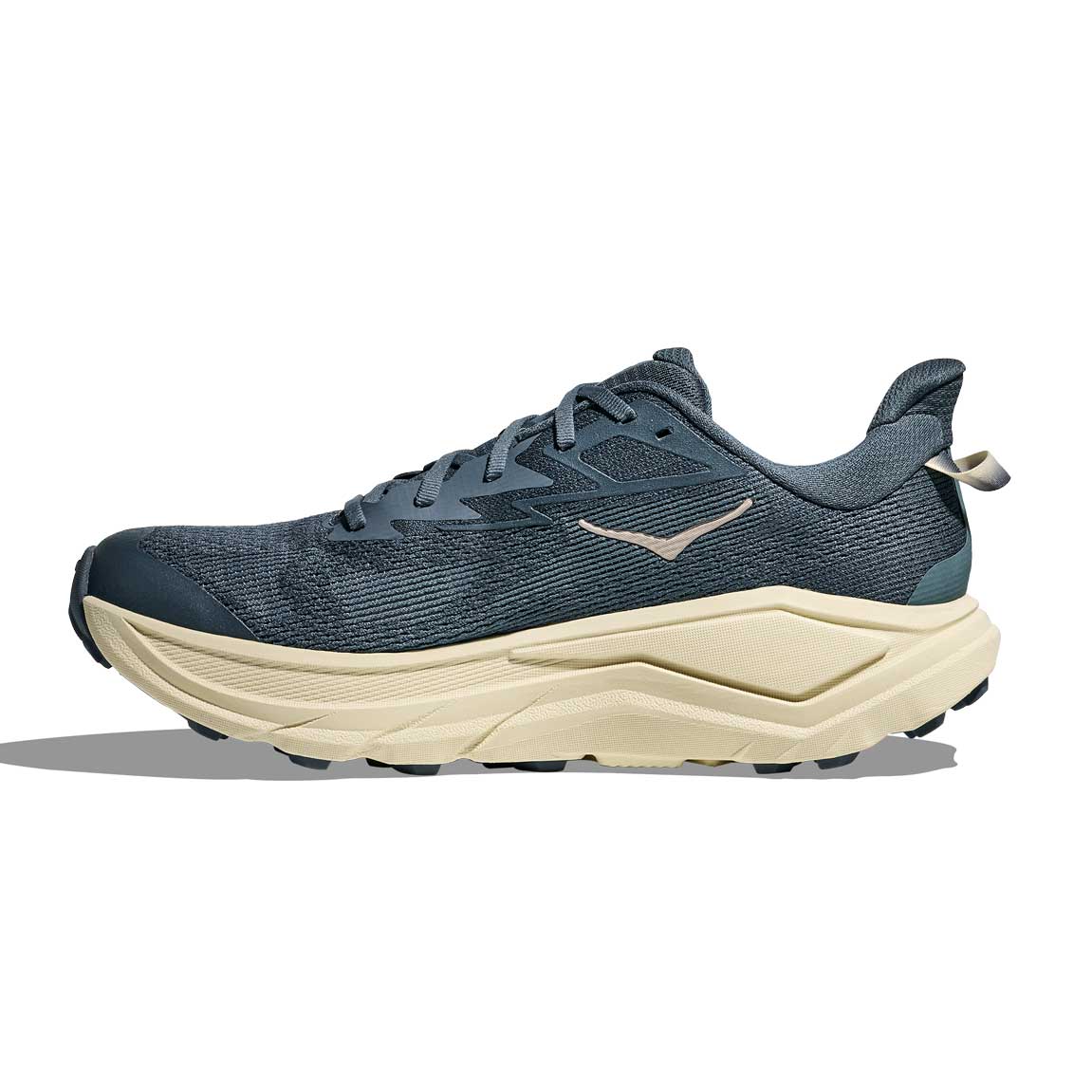 Men's Challenger 8 Running Shoe - Faded Navy/Pampass Grass - Regular (D)