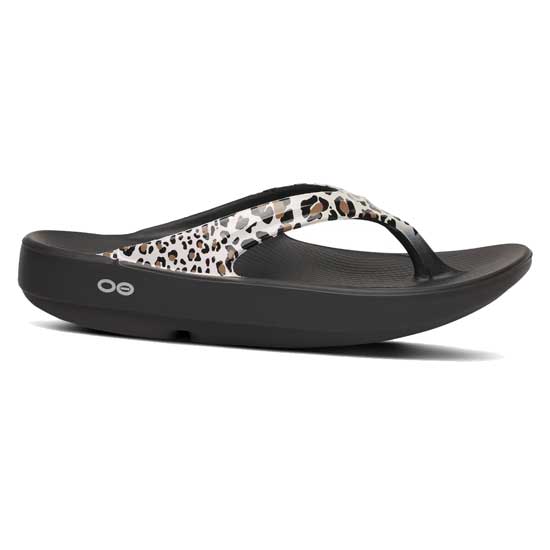 Women's OOlala Limited Thong - Leopard 26 - Regular (B)