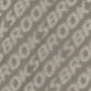 Men's Canopy Reflective - Reflective Wordmark Bone