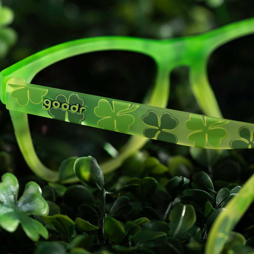 Leprechaun in Disguise