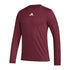 Burgundy/White