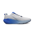 Blue/Gray