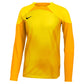 Youth Long Sleeve Dri-FIT Gardien Goalkeeping Jersey - Yellow