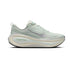 Light Silver/Metallic Silver