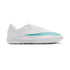 White/Dusty Cactus