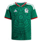 Youth Mexico Home Jersey - Bold Green