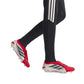Predator Elite FT FG Soccer Cleat - Lucid Red/Core Black/Cloud White - Regular (D)