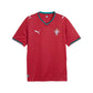 Portugal Replica Home Jersey - Club Red/Green Lagoon