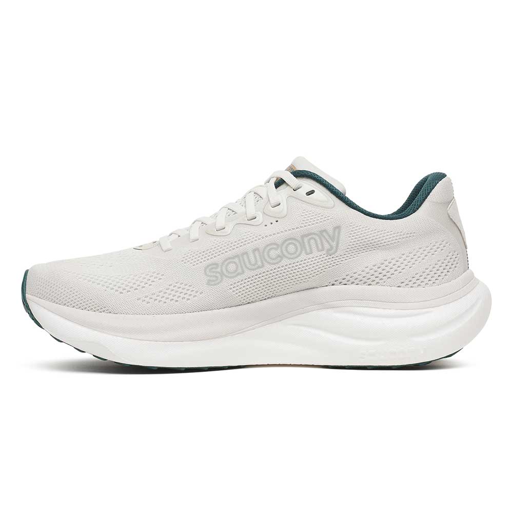 Men's Ride 19 Running Shoe - Quartz/Pine - Regular (D)
