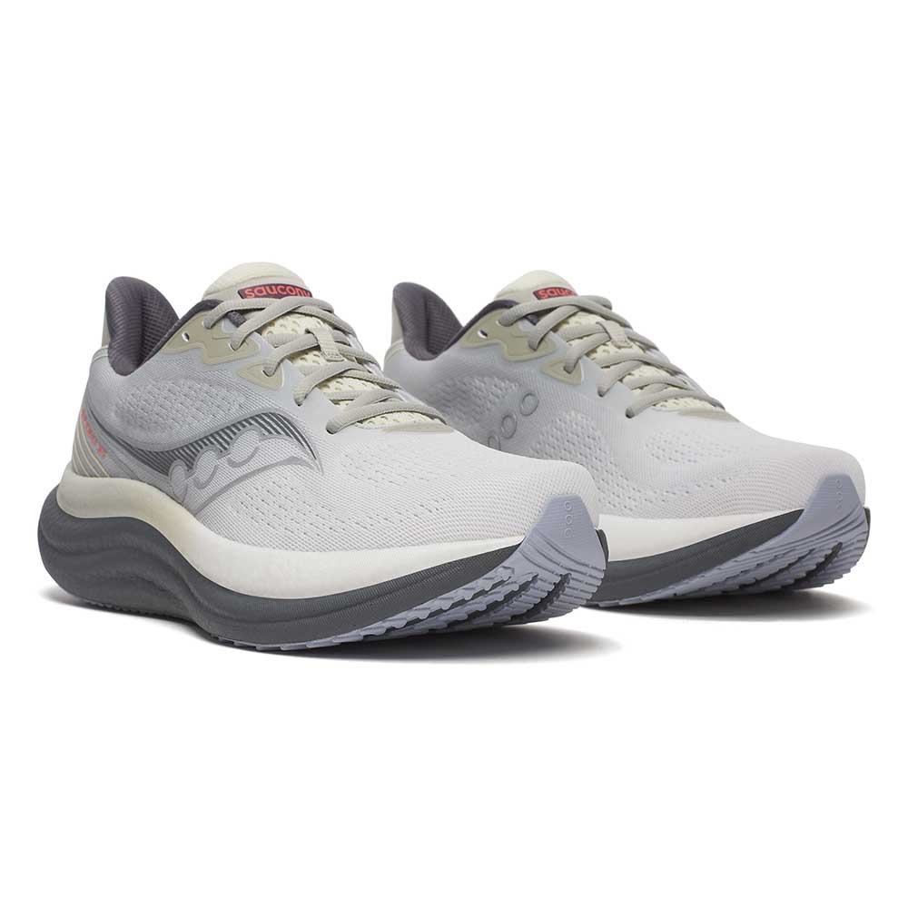 Men's Triumph 23 Running Shoe - Grey/Shadow - Regular (D)