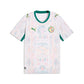 Men's FSF Home Replica Jersey - Puma White/Wild Green
