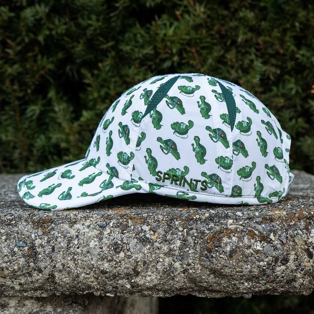 Turbo Turtle Hat