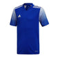 Youth Regista 20 Jersey - Royal/White