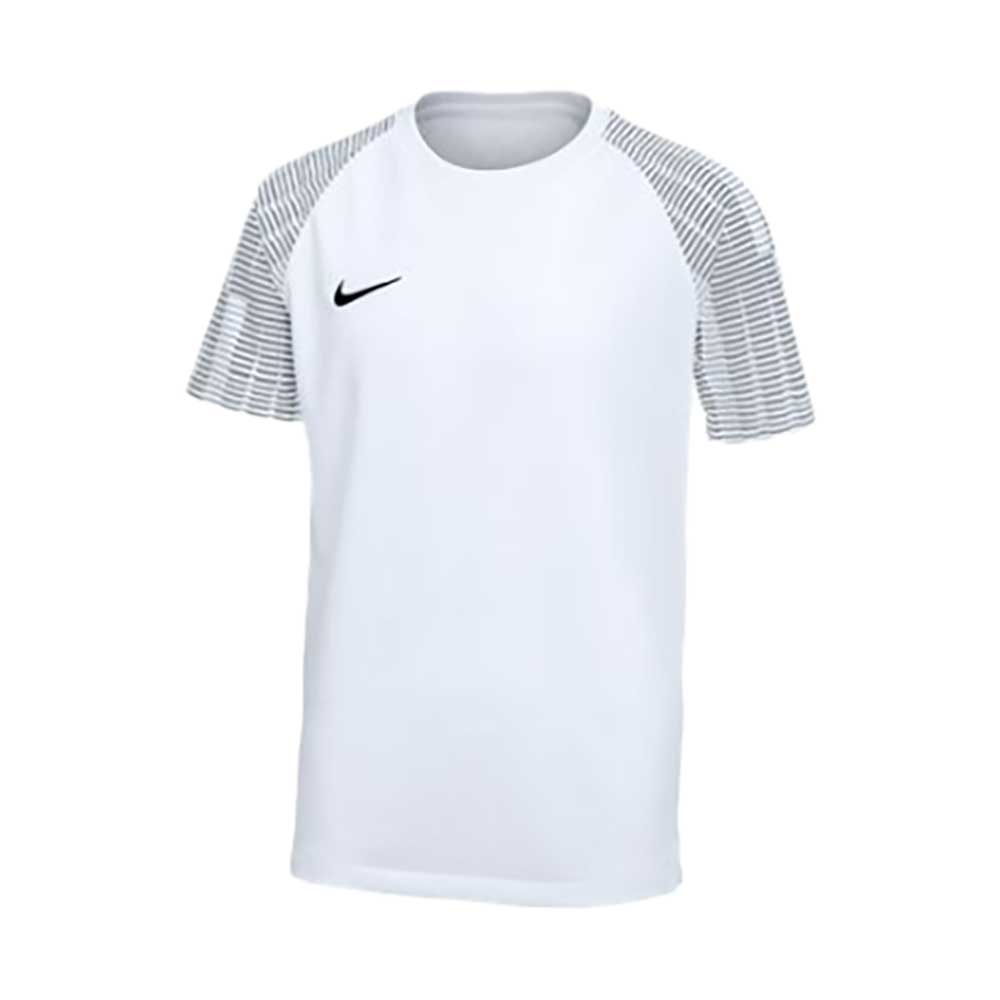 Youth Dri-Fit Academy Jersey - White/Gray