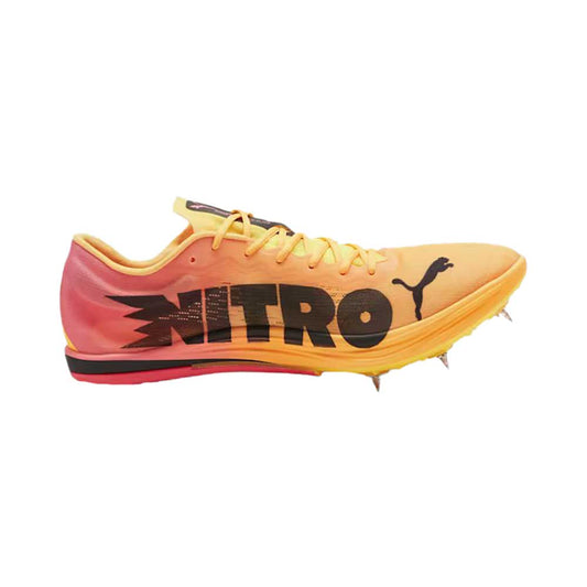 Men's Evospeed Long Distance Nitro Elite 2 Spike - Sun Stream/Sunset Glow/PUMA Black - Regular (D)