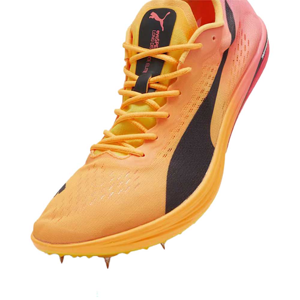 Men's Evospeed Long Distance Nitro Elite Spike Sun Stream