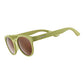 Fossil Finding Focals Sunglasses