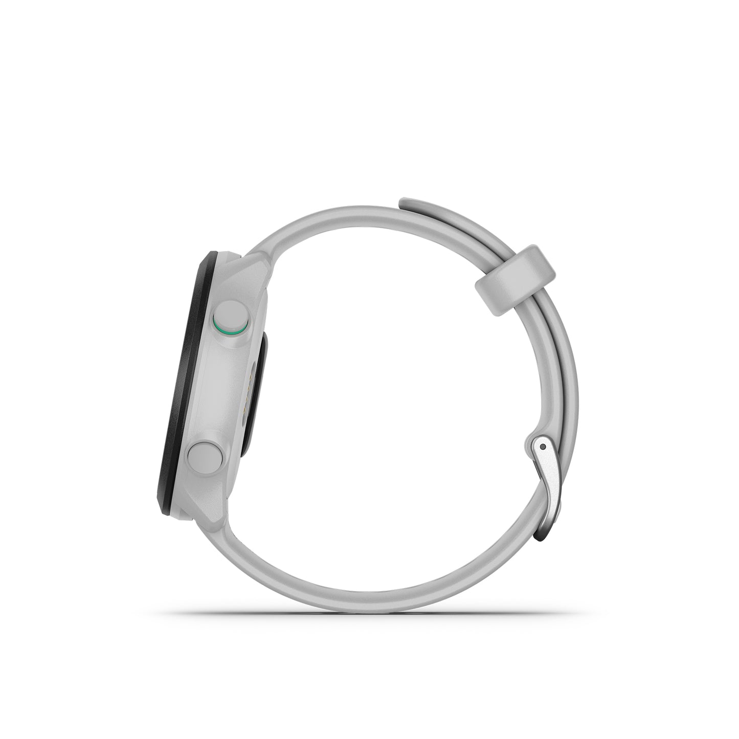 Forerunner 55 Smartwatch - Whitestone